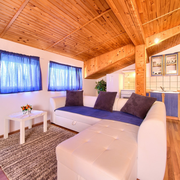 Living room, Apartman ANKICA, Apartmani Ankica Polje