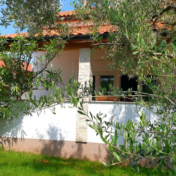 Apartman ANKICA, Apartmani Ankica Polje